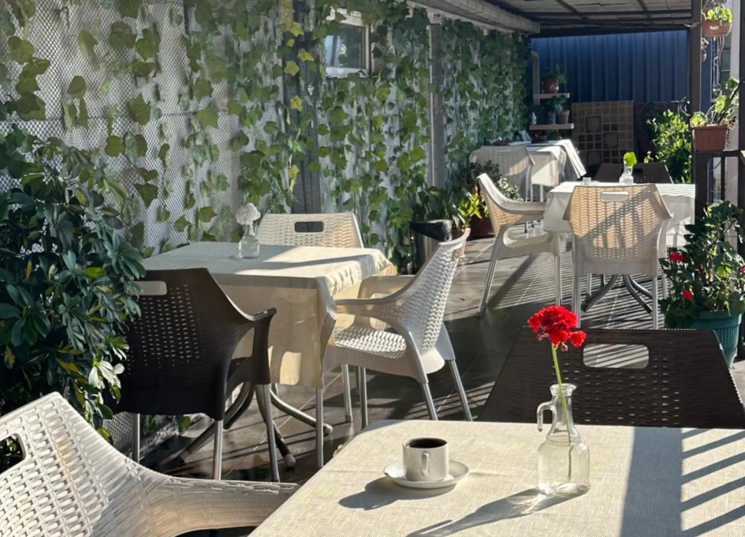Hotel Vista Batumi